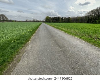 empty path through fields and meadows