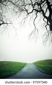 Empty Path To Unknown Place On A Damp Gray Day