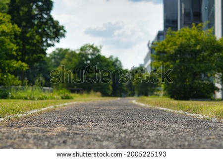 empty pathway, shallow depth of fiels, green bushes