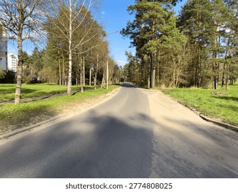 An empty paved road running through a park in Belarus and a pine forest in a residential area under a clear blue sky.