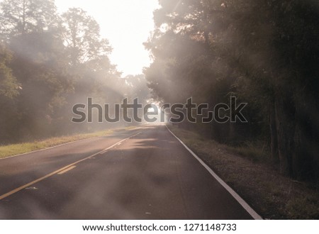 Empty paved road running through the bayou of Louisiana while on a road trip.