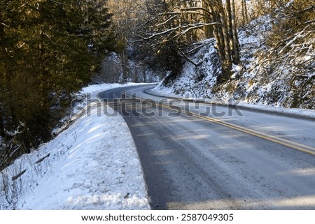 An empty paved road surrounded by trees and snow during winter.