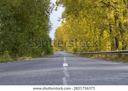 Empty paved rural road bordered by golden autumn trees and lush woodland in Switzerland.