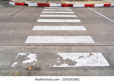 Empty pedestrian crossing, crosswalk on the road