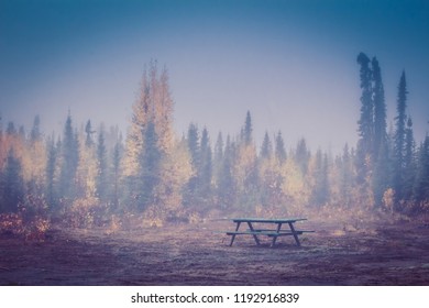 An empty picnic table with foggy autumnal trees behind it - Powered by Shutterstock