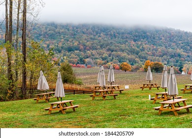 Empty picnic tables in autumn fall foliage season countryside at Charlottesville winery vineyard in blue ridge mountains of Virginia with fog mist cloudy sky day