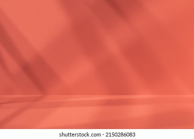 Empty pink studio space with deep artistic shadow. Minimalistic space concept