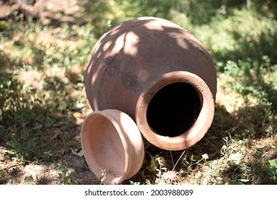 Empty Pitcher And Green Grass