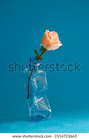Empty plastic bottle with a rose flower inside on a blue background. Save the planet from plastic pollution concept. Front view. Selective focus. Copy space.