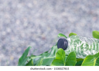 Empty Plastic Bottles On The Tree. Discipline To Keep Public Park Clean By Drop In The Bin. Concept Of Love Earth, Recyle, Reuse, Reduce And Zero Waste For Sustainable Environment And Ecology.