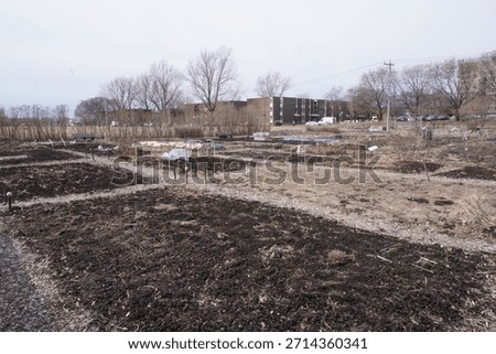 Empty plot of gardens in spring
