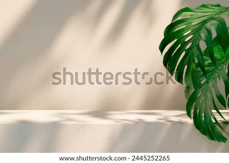 Empty product placement stage with natural light and plant shadow on white wall. Summer background mockup for beauty, spa and cosmetic showroom. Minimal home table platform in neutral tone.