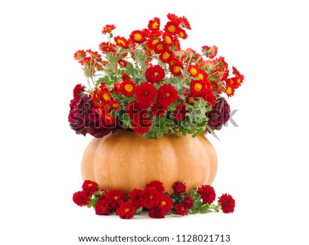 Empty pumpkin with red flowers