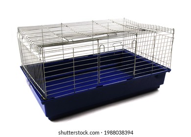 Empty Rabbit Plastic Box Isolated On White Background