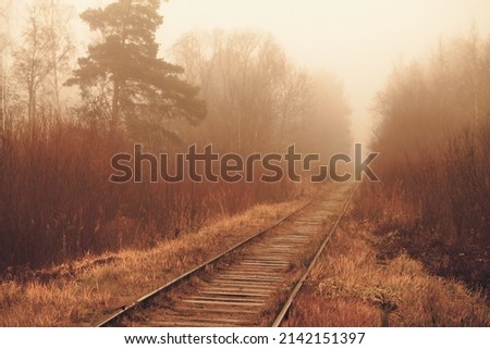 Empty railway goes through a foggy forest in autumn morning
