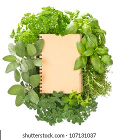 empty recipe book with variety fresh haelthy herbs over white background