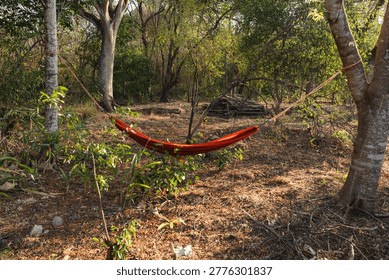 Empty red hammock suspended between two trees in a sunlit woodland, inviting restful solitude and outdoor comfort for leisurely escapes, relaxation and peaceful nature time