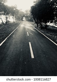 The Empty Road
