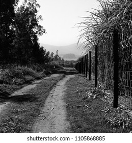 An empty road
