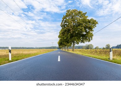 Empty road amidst trees against sky - Powered by Shutterstock