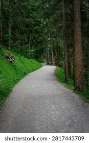 Empty road amidst trees in forest