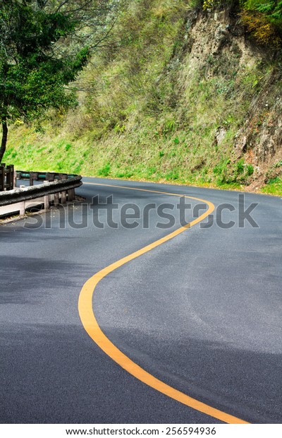 Empty road curve with\
tree on both side