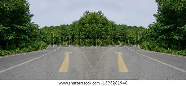 Empty road is divided into two different ways.\
Dirt or rough long road in countryside leading to distant towards\
bright sun in forest. Low view of empty roadtrip road ground /\
surface. Hope concept.
