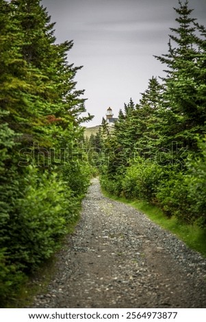 Empty road with the Ferryland Lighthouse