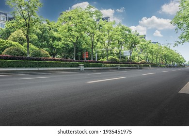 Empty Road Foreground And Many Trees In The City