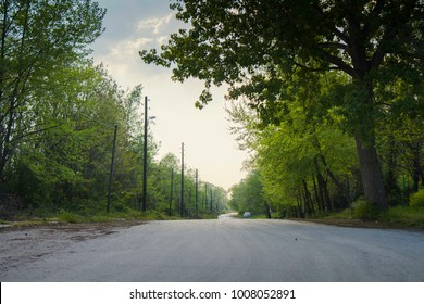 An empty road in a forest