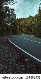 Empty road in a forest