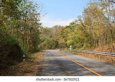 Empty road in forest.