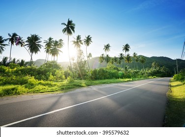 empty road in jungle of Seychelles islands - Powered by Shutterstock