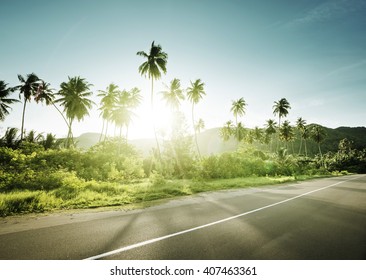 Empty Road Jungle Seychelles Islands Stock Photo 407463361 | Shutterstock