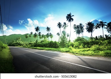 Empty Road In Jungle Of Seychelles Islands