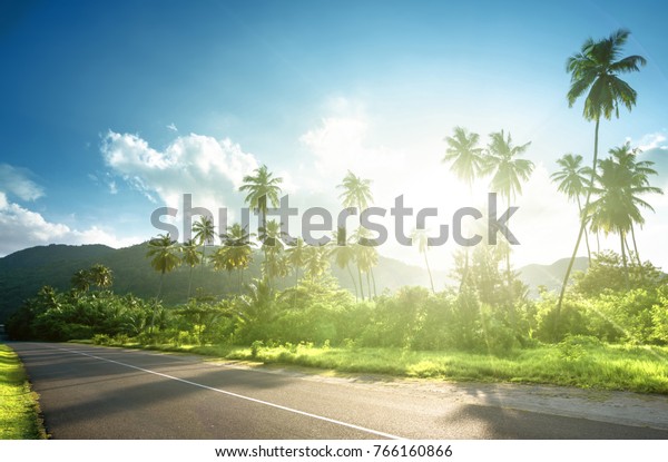 Empty Road Jungle Seychelles Islands Stock Photo (Edit Now) 766160866