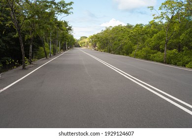 Empty road in the middle of the forest