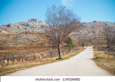 Empty Road in The Mountain