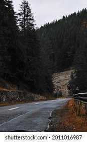 An empty road in a mountain forest