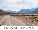 Empty road and mountain scenery in the Potrerillos area, Mendoza, Argentina. Concept of car travel in South America.