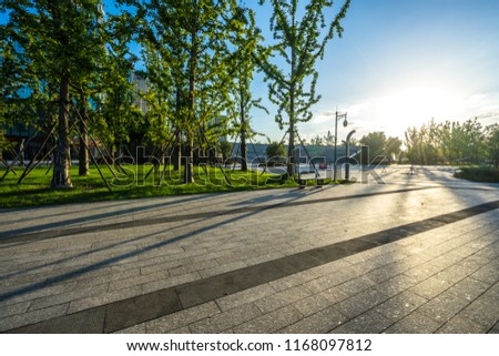 empty road in the park
