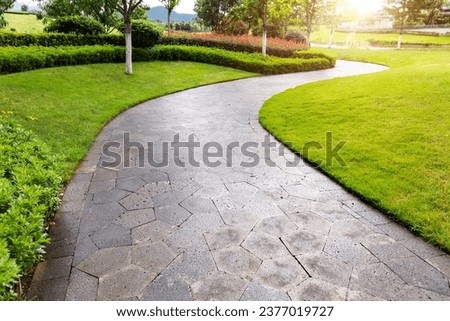 Empty road in the park