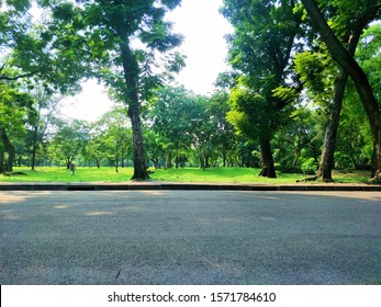 Empty Road With Park, Grass With Park, Tree With Park...