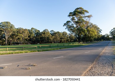 Empty Road In Parramatta Park With Green Area And Blue Sky.