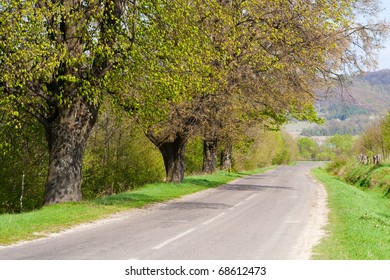 Empty Road Running Along Green Trees And Field