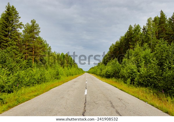 Empty road stretching into the distance through\
the forest