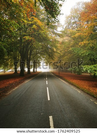 Similar – Image, Stock Photo Empty road surrounded by sea water near mountains