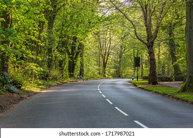 Empty Road Surrounded By Trees In The City Of Sheffield, England, UK