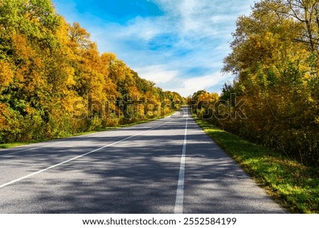 Empty road through autumn trees.