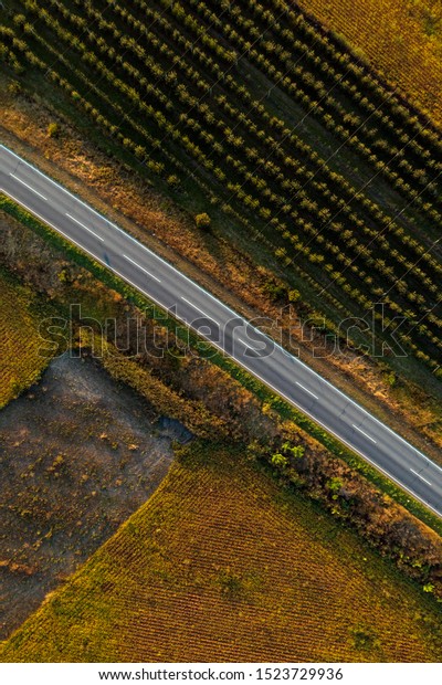 Empty road through countryside from drone pov\
in sunny autumn afternoon